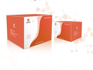 ELISA抗体检测试剂盒
