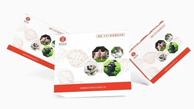 适用于低含量复杂环境样本 | 磁珠法提取试剂盒800μL大体系