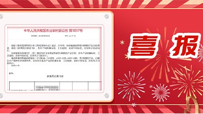 喜报丨国测生物猪圆环病毒2型、3型二重荧光PCR检测试剂盒  获农业农村部兽药产品批准文号批件
