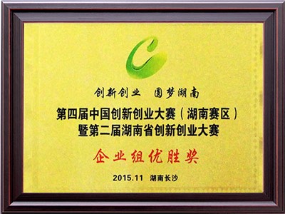 第四届中国创新创业大赛（湖南赛区）企业组优胜奖