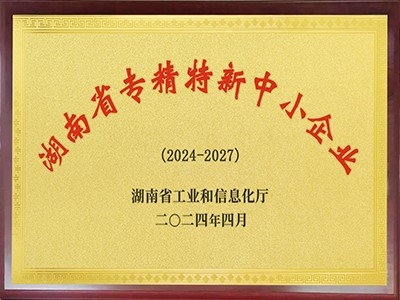 湖南省专精特新中小企业