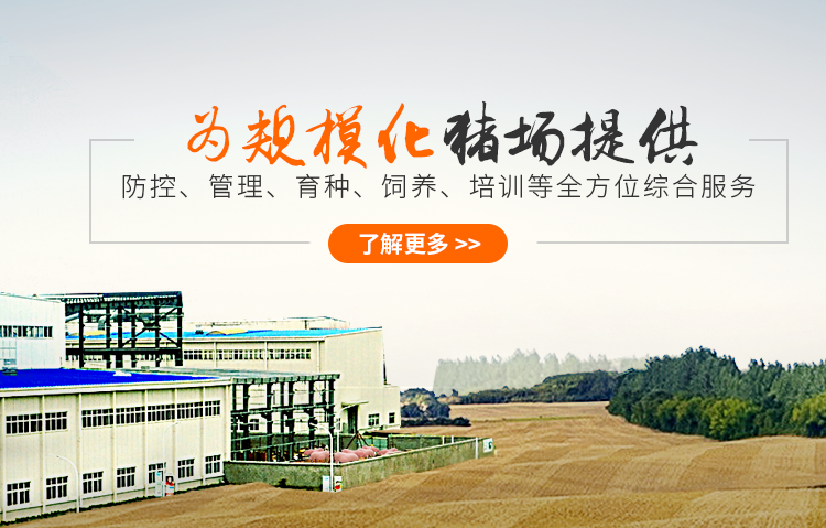 养猪培训